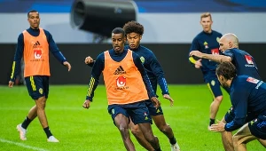 Piłkarze reprezentacji Szwecji podczas zgrupowania przed Euro