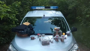 Straż miejska znalazła pojemniki z pająkami