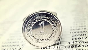 Ile kosztują dolar, euro i frank w piątek 11 lipca? Zdj. ilustracyjne