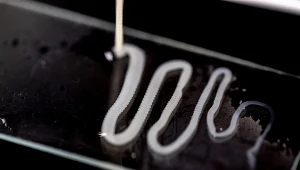 To jedna z najczęstszych chorób pasożytniczych układu pokarmowego