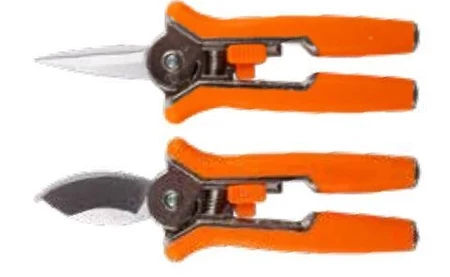 Sekator