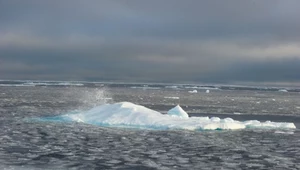 Lód morski w Arktyce topnieje dwa razy szybciej, niż myśleliśmy