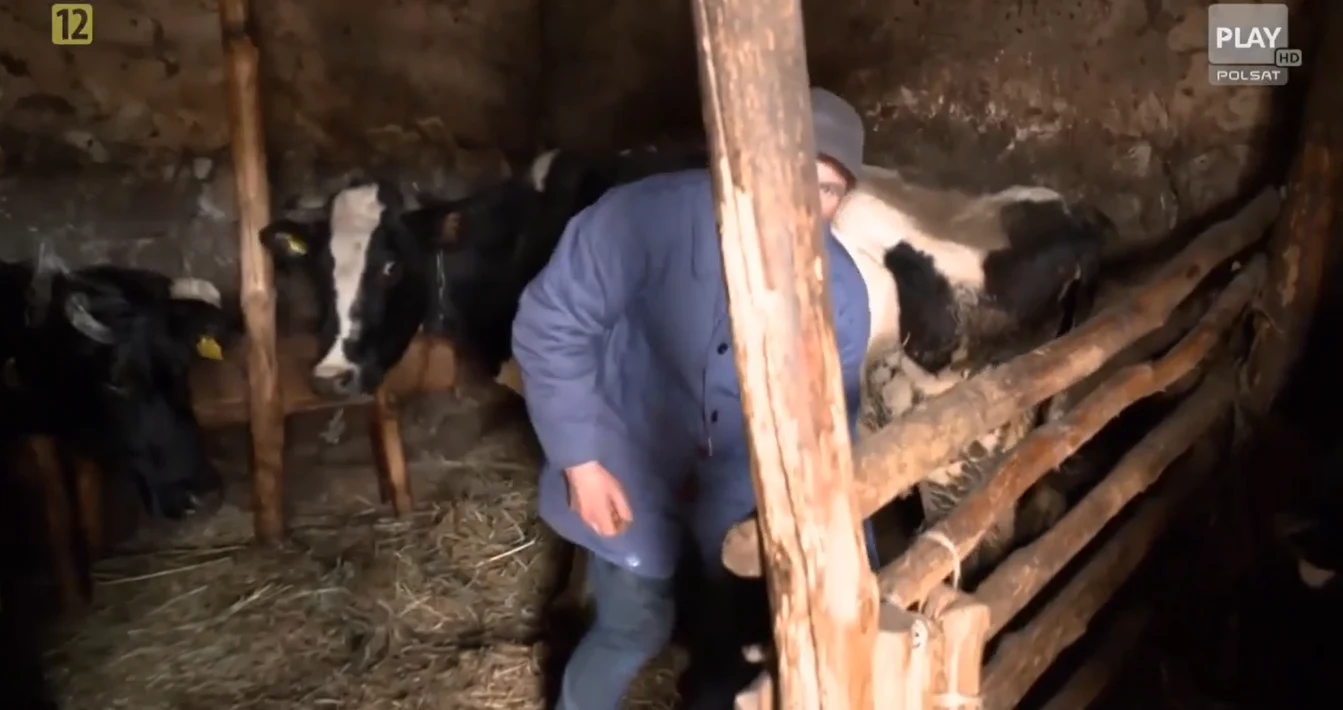 Henryk z "Chłopaków do wzięcia" Henryk z "Chłopaków do wzięcia"