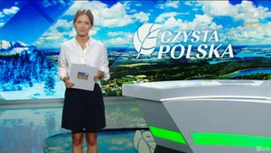 Czysta polska odc. 14