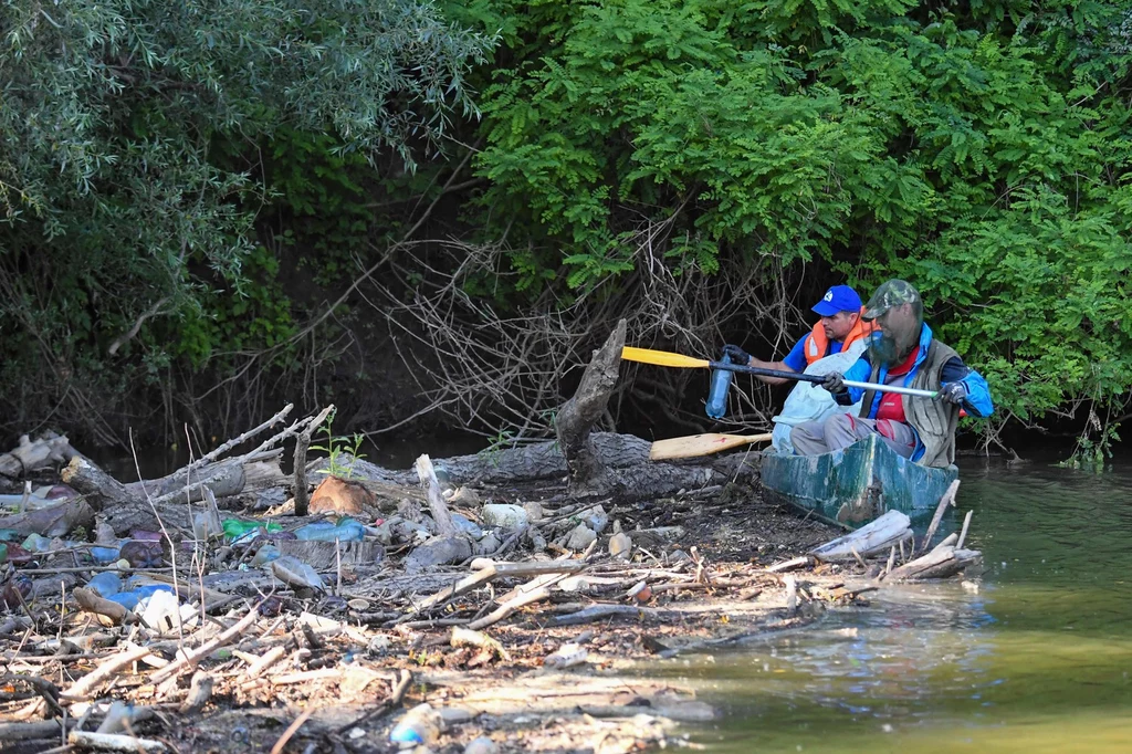 Zbieranie śmieci z węgierskiej części rzeki Cisy, sierpień 2020 r. 