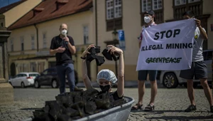 PGE chwali się działaniami na rzecz klimatu. Greenpeace odpowiada: To greenwashing