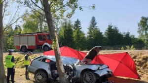 Lubelskie: Tragiczny wypadek. Siedmiolatek walczy o życie