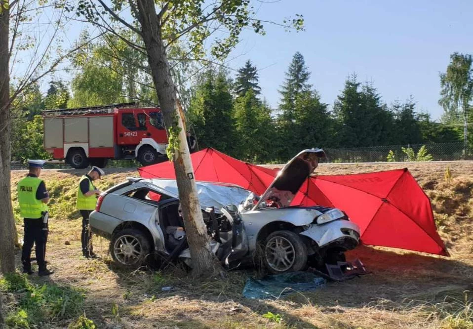 Audi wypadło z drogi i bokiem uderzyło w drzewo