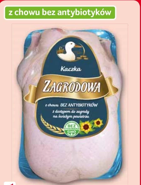 Kaczka