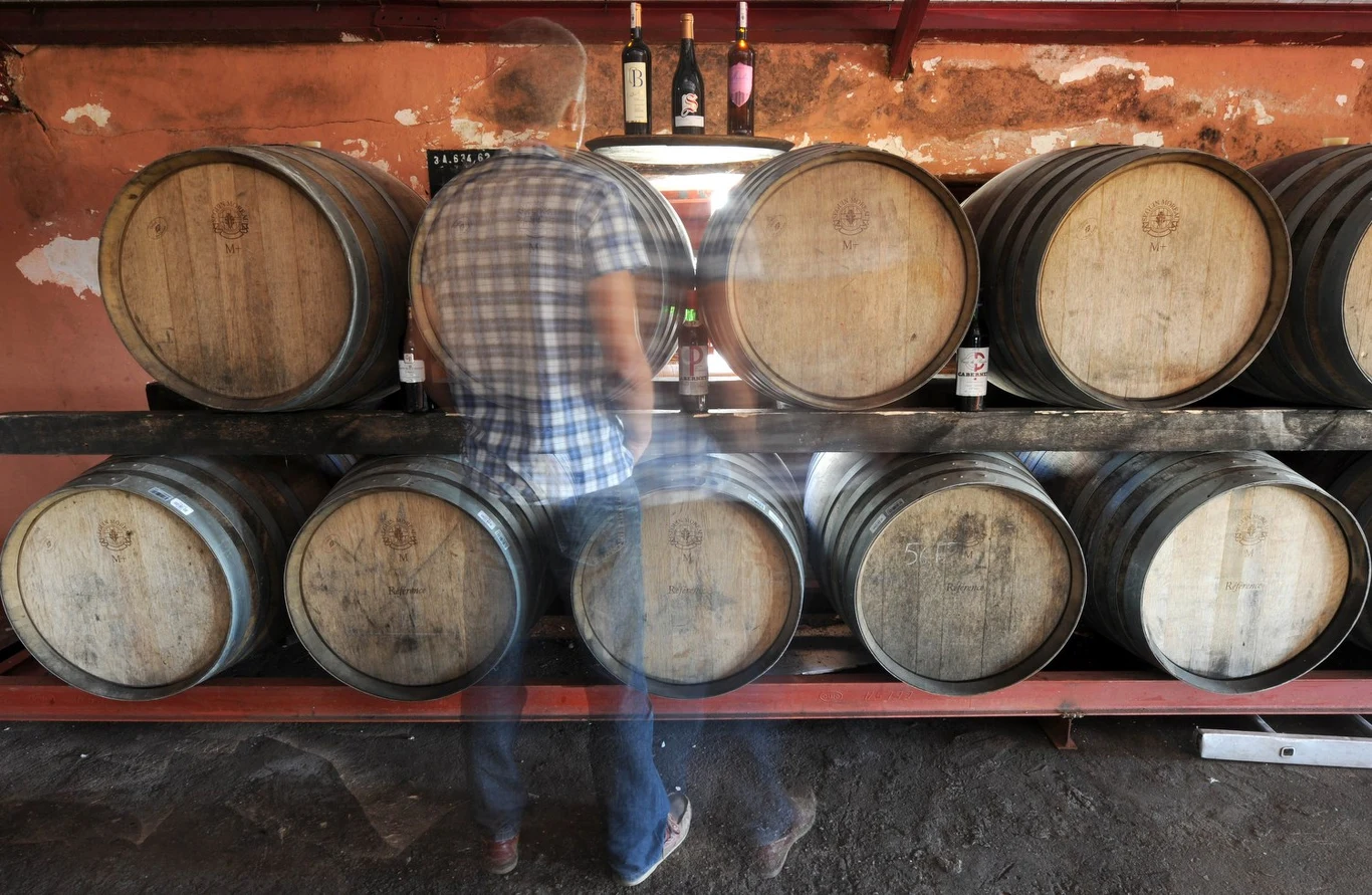 Polska była potentatem na rynku miodów pitnych 