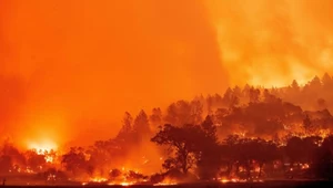 U progu wielkiego wymierania. Najwyższy w historii ludzkości poziom CO2