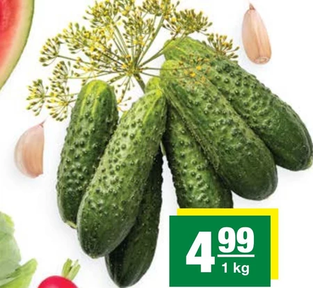 Ogórek