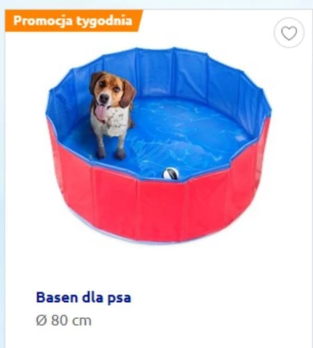 Basen dla psów