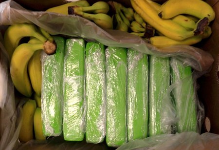 Kokaina w bananach.