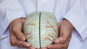 Chorób układu nerwowego jest wiele - poczynając od migren po udary czy guzy mózgu