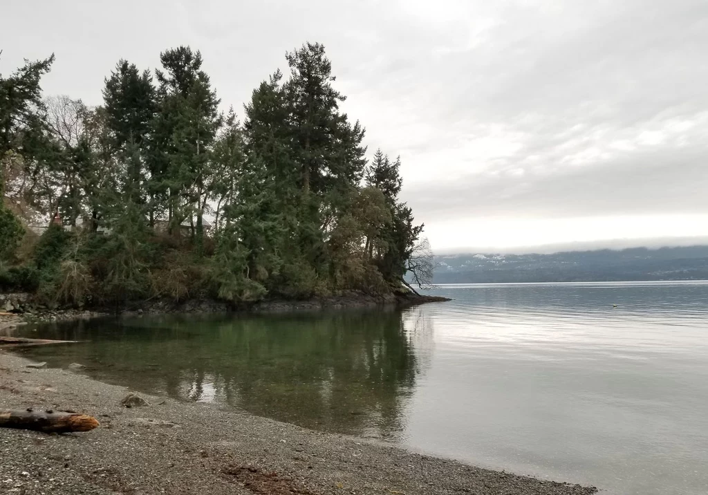 Rejon Fairy Creek to statni niechroniony obszar części Vancouver Island, gdzie rośnie starodrzew