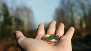 Od zysku z kryptowalut trzeba zapłacić podatek 