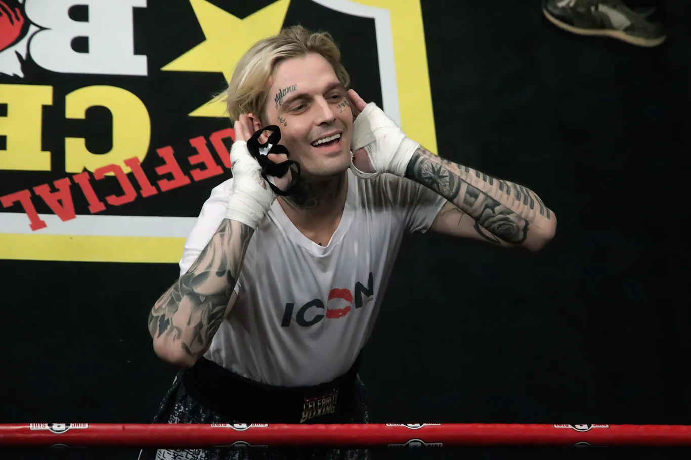 Aaron Carter największe sukcesy święcił na przełomie XX i XXI wieku. Na całym świecie sprzedał ponad 10 milionów egzemplarzy swoich płyt, w tym cztery miliony w samych Stanach Zjednoczonych. Wylansował też przebój "I Want Candy". 
