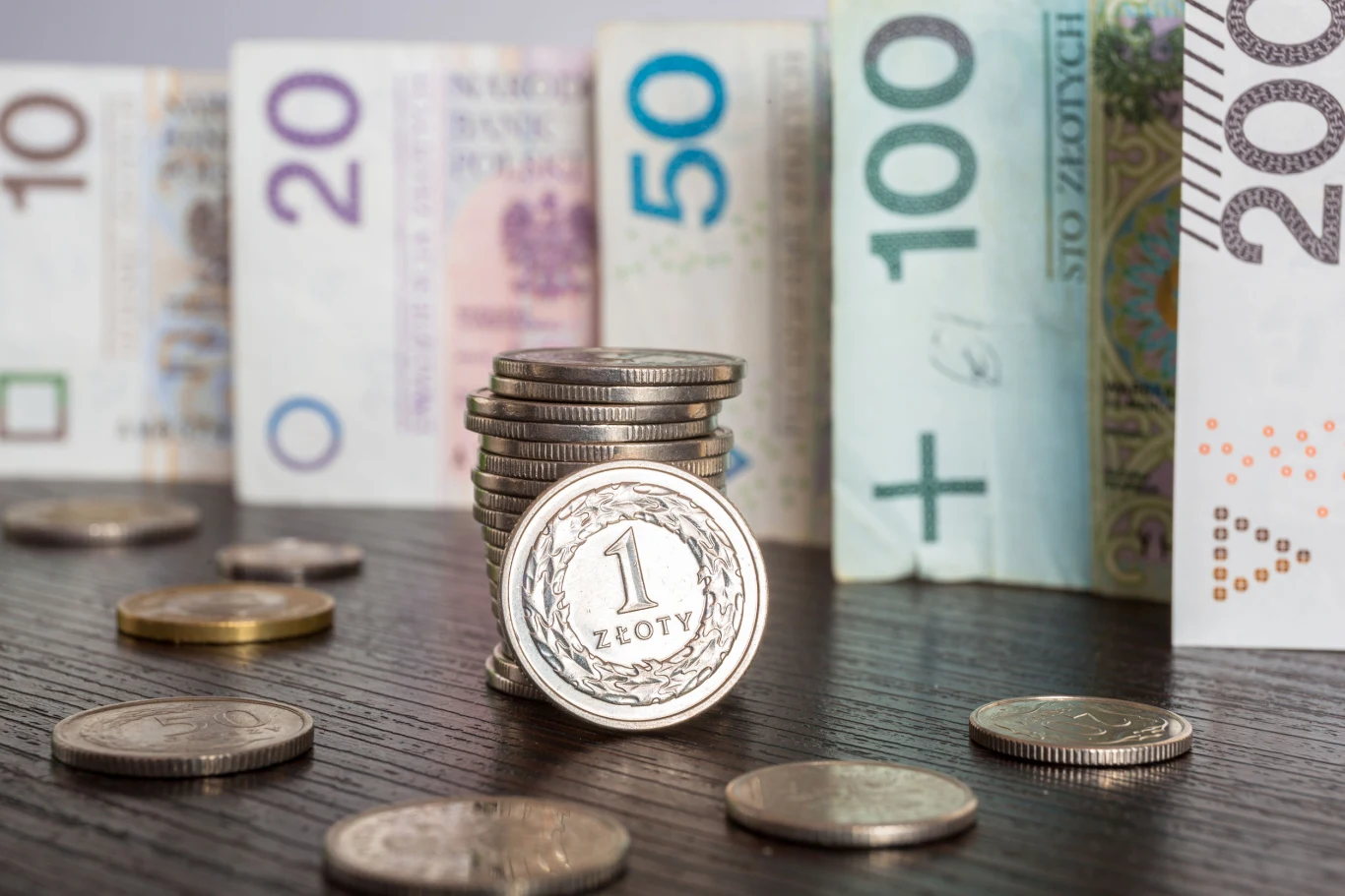 Kursy złotego. Ile płacimy za dolara, euro i franka? Zdj. ilustracyjne Kursy złotego. Ile płacimy za dolara, euro i franka? Zdj. ilustracyjne