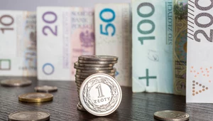Pod względem wysokości płacy minimalnej Polska zajmuje 14. miejsce w UE