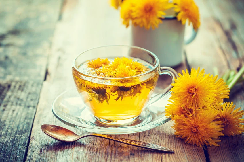 Herbata z mniszka lekarskiego pomaga usunąć toksyny i wspiera wątrobę