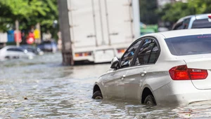 Fale upałów i błyskawiczne powodzie. Jak polskie miasta przygotowują się na zmiany klimatu?