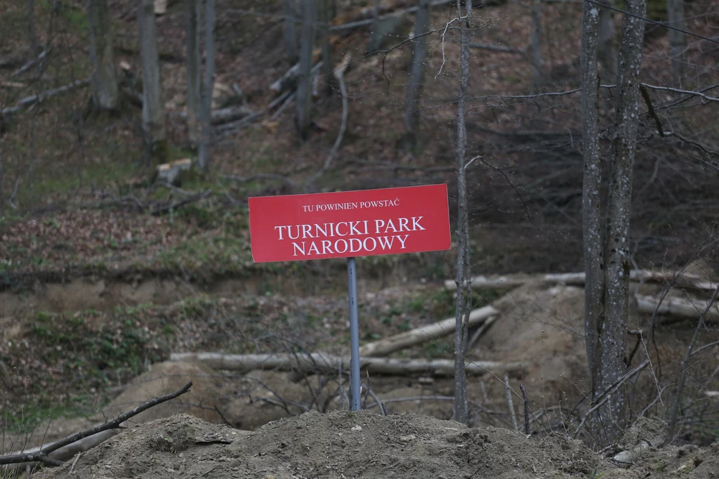 Blokada wycinki drzew na terenie projektowanego Turnickiego Parku Narodowego.