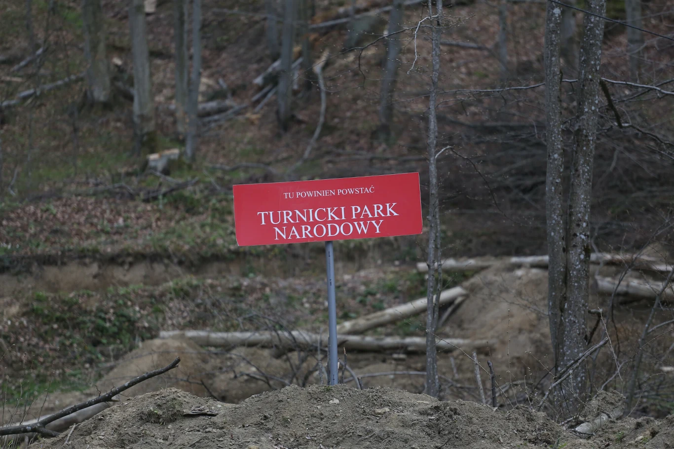 Blokada wycinki drzew na terenie projektowanego Turnickiego Parku Narodowego. Blokada wycinki drzew na terenie projektowanego Turnickiego Parku Narodowego.