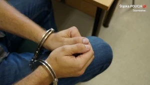 Znęcał się nad matką z niepełnosprawnością