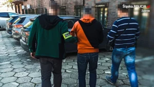 Mężczyzna przyznał się do wykorzystywania seksualnego nastolatki