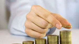 Stawki dla podatników opłacających ryczałt w 2024