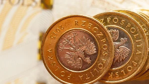 Złoty traci od kilku dni, ale prognozy nie są złe dla naszej waluty