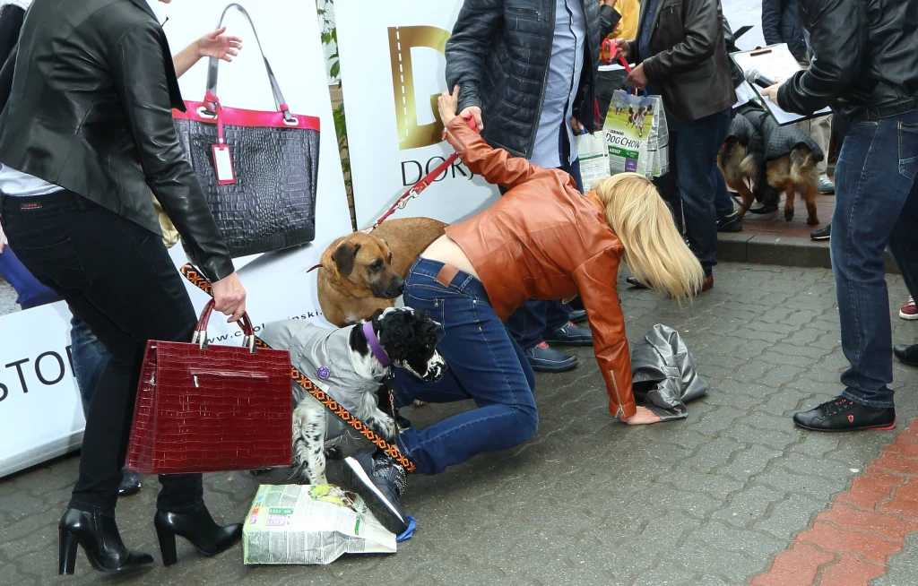 Sylwia Wysocka nie ma szczęścia od lat. Tutaj podczas upadku w trakcie imprezy "Gwiazdy na Paluchu"