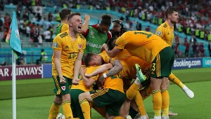 Walia - Holandia w Lidze Narodów. Relacja na żywo