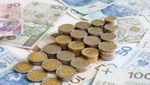 Eurostat podał dane dot. inflacji w Polsce. Zdj. ilustracyjne