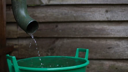 ​Robisz to z deszczówką? Uważaj, możesz dostać ogromną karę