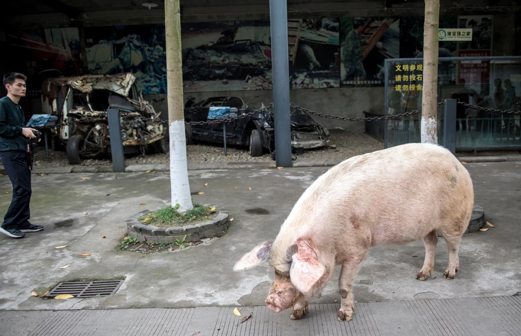 Ratownicy dotarli do niej po 36 dniach. Ratownicy dotarli do niej po 36 dniach.