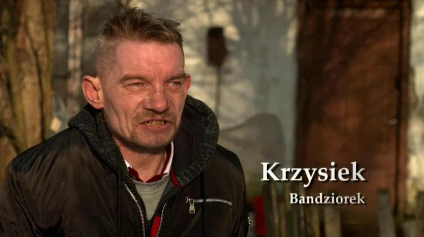Krzysiek zwany Bandziorkiem jest weteranem "Chłopaków do wzięcia" Krzysiek zwany Bandziorkiem jest weteranem "Chłopaków do wzięcia"