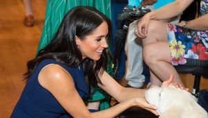 Meghan Markle znana jest ze swojej miłości do psów 