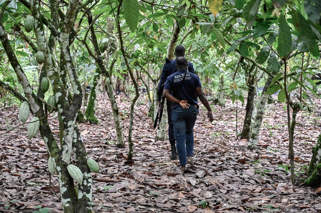 Sąd Najwyższy Stanów Zjednoczonych zdecydował, że nie można pozwać amerykańskich gigantów korporacyjnych Nestle USA i Cargill za niewolniczą pracę dzieci na afrykańskich farmach, skąd firmy kupują kakao, poinformowała w tym tygodniu agencja Reutera. Sąd Najwyższy Stanów Zjednoczonych zdecydował, że nie można pozwać amerykańskich gigantów korporacyjnych Nestle USA i Cargill za niewolniczą pracę dzieci na afrykańskich farmach, skąd firmy kupują kakao, poinformowała w tym tygodniu agencja Reutera.