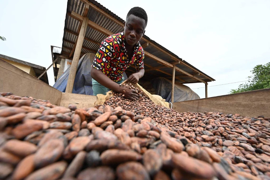 Nestle USA w oświadczeniu stwierdziło, że nigdy nie było zaangażowane w pracę dzieci i pozostaje "niewzruszone w swoim oddaniu się walce przeciw pracy dzieci w przemyśle produkcji kakao". Nestle USA w oświadczeniu stwierdziło, że nigdy nie było zaangażowane w pracę dzieci i pozostaje "niewzruszone w swoim oddaniu się walce przeciw pracy dzieci w przemyśle produkcji kakao".