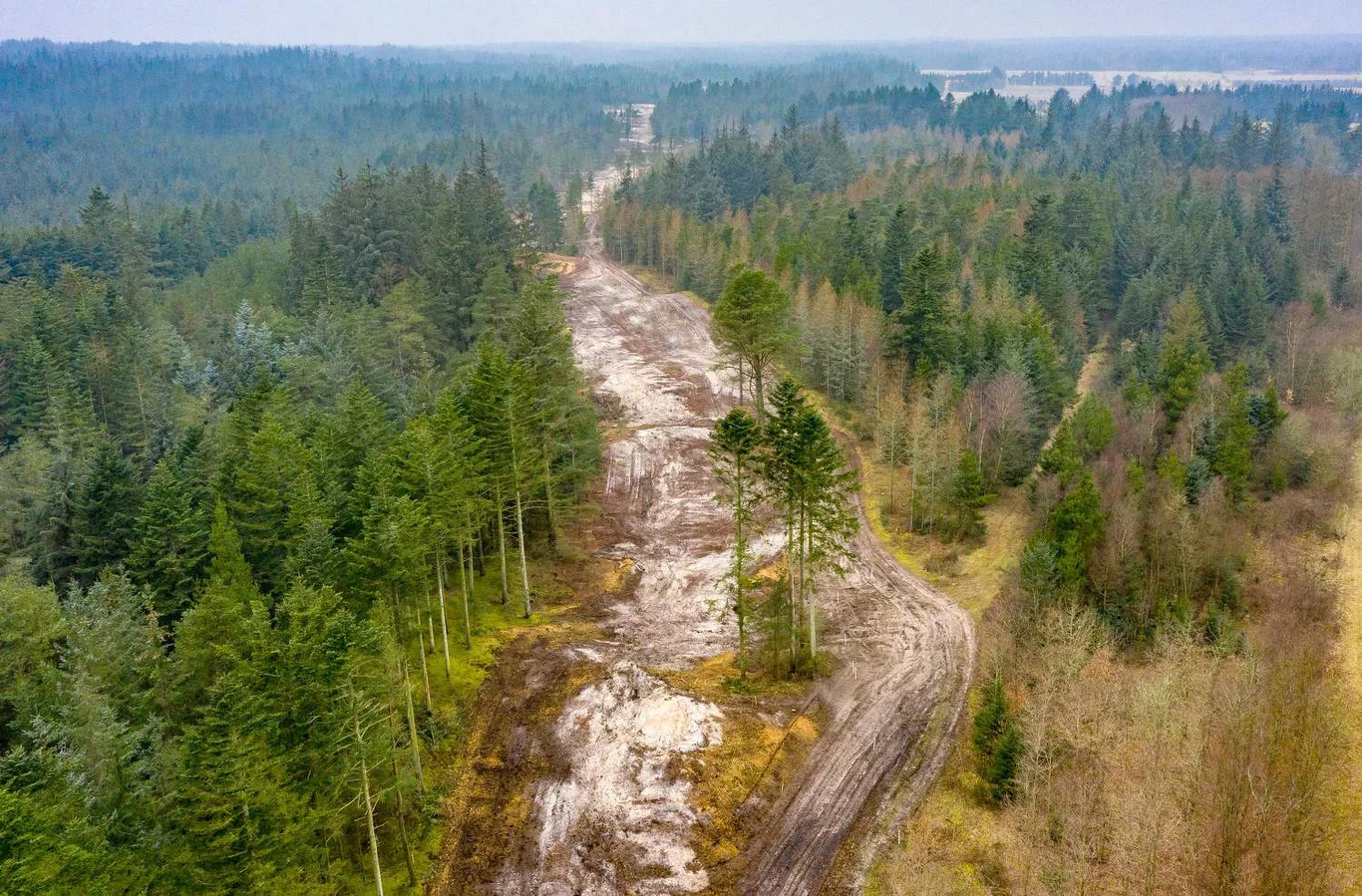 31 maja Duńska Komisja Odwoławcza ds. Środowiska i Żywności cofnęła pozwolenie środowiskowe dla rurociągu Baltic Pipe, wydane przez Duńską Agencję Ochrony Środowiska 12 lipca 2019 roku. Sprawa została przekazana do ponownego rozpatrzenia przez Agencję, co oznaczało konieczność przeprowadzenia dodatkowych badań niezbędnych do oceny, czy inwestycja może zniszczyć lub uszkodzić tereny rozrodu lub odpoczynku wskazanych gatunków zwierząt.  W związku z orzeczeniem z 31 maja Energinet postanowił o tymczasowym wstrzymaniu budowy. W sobotę jednak spółka poinformowała, że Duńska Agencja Ochrony Środowiska nie ma zastrzeżeń do planów wznowienia budowy części projektu na duńskim odcinku lądowym.