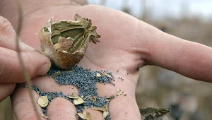 Kadr z produkcji HBO "Zbrodnia stulecia"