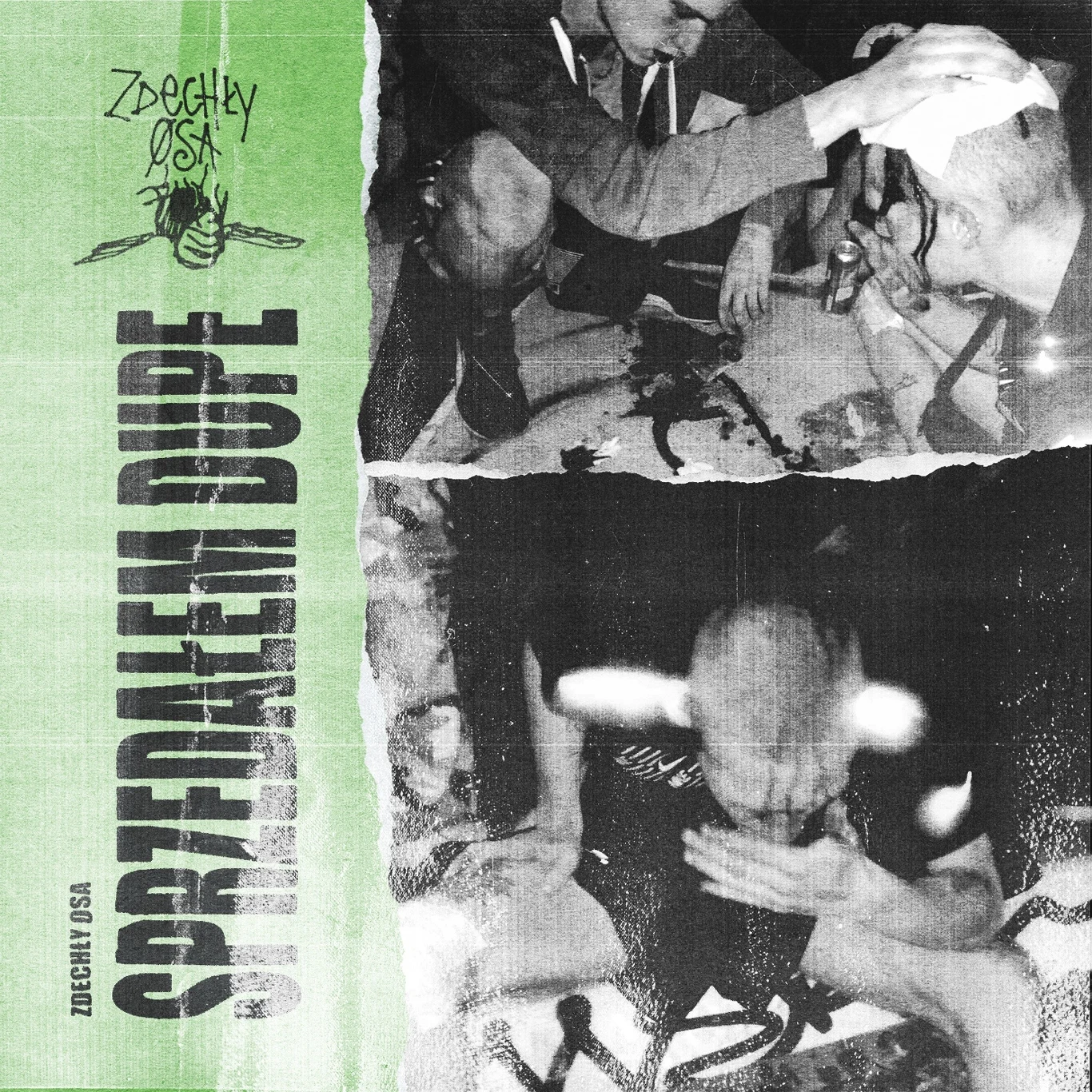 Okładka albumu "Sprzedałem dupe" Okładka albumu "Sprzedałem dupe"