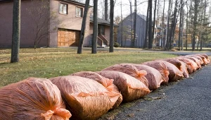 Nowe przepisy wprowadzą chaos w systemie odbioru odpadów?