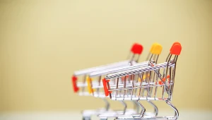 "U progu wakacji trwa w Polsce sezon na drożyznę"