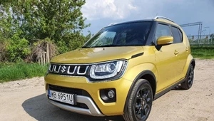 Suzuki Ignis 1.2 DualJet 4WD