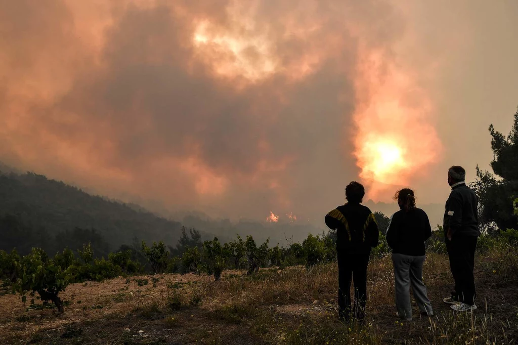 Pożar lasu w Grecji, maj 2021 r.