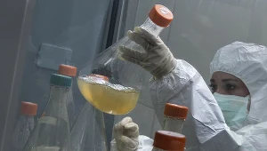 Na zdj. prace nad szczepionką Abdala