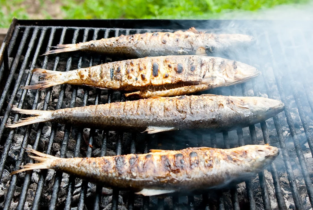 Jak jest nalepsza ryba na grilla?